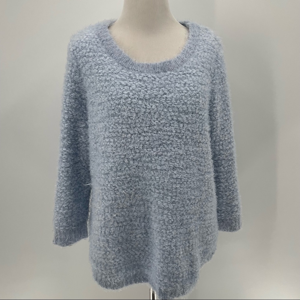 New Directions Woman’s Blue Sweater